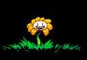 8807029.gif