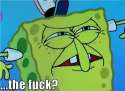 thefook_spongebob.jpg