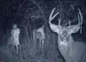 scary-creepy-real-photos-girl-deer-cam.jpg