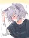 42892305_p39.png