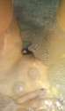 IMAG0511.jpg