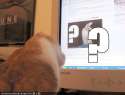 funny-pictures-meta-kitteh.jpg