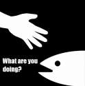 1472204428827.gif