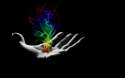 Hand_abstract-1280x800.jpg