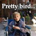 bird.jpg