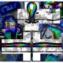 1a37a48cb79d2ab75da5c704fb320c6b.png