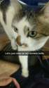 Snapchat-3277511107449386595.jpg