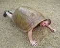 thmhombre-tortuga.jpg