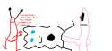 Sponge In The City.jpg