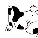 moooo.jpg