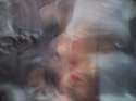 tumblr_nmlmk329hE1qi40uzo1_500.jpg