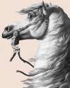 wwe.png