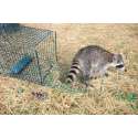 4125_Green_Animal_Trap__5.jpg