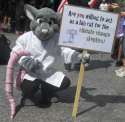 rally_rat.jpg