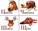 ц-щ.jpg