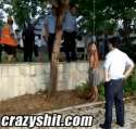 17-human-pinata.gif
