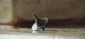 inception-screencap-2-dreidel-top1[1].jpg