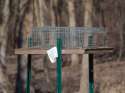 1200px-Bird_trap_3720.jpg