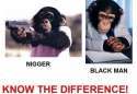 niggers.jpg