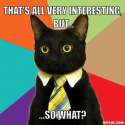 resized_business-cat-meme-generator-that-s-all-very-interesting-but-so-what-0a6e89.jpg