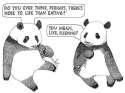 a-pandas-life.jpg