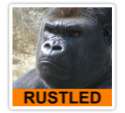 sticker,220x200-bg,ffffff-pad,220x200,ffffff.u4.jpg
