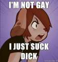 im not gay i just suck dick.jpg