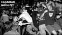 canadian moshpit.png