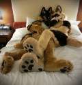 1354168801.wolf400_turboduke.jpg