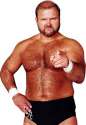 Arn Anderson.jpg