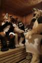 1364724944.dancingduke_towel.jpg