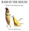 raidlogo.png