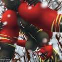 049_1453037915.jackalope_1448201212._popcornpanic_boobienudesssmall.png