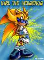 karl the hedgehog wtf.jpg