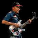 morello.jpg