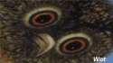 fuck.png