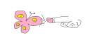 butterdick.png