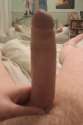 IMAG0003.jpg