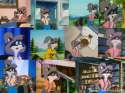 lisa_raccoon__the_athletic_chick_by_goodcaptainclack-d4kiajk.jpg