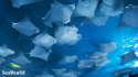 1366x768-RAYS.png