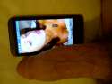 IMG-20160901-00202.jpg
