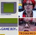 nintendogameboyfeministtriggered.jpg