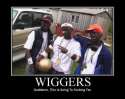 160387_wiggers.jpg