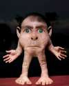Most_Disturbing_Manipulated_Images_Ever__23.jpg