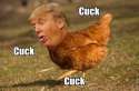 Chicken heads be cluckin.jpg
