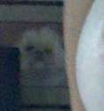 WatchingYou.png