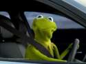driving frog man.jpg