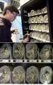 vending crabs.jpg