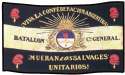 Bandera de la Confederacion Argentina- foto.jpg