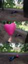 47-funny-pictures-750.jpg